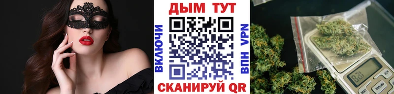 купить   Никольск  Каннабис VHQ 